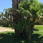 Masseria Patese * 阿夸里卡德尔卡波